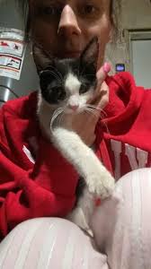 Clothing items for sale in Sister Babyz SS group