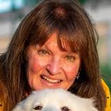 Mesquite City Council Member, District 4