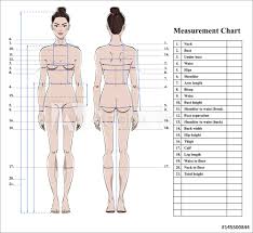 Photo Art Print Woman Body Measurement Chart Europosters
