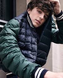 Résultat de recherche d'images pour "timothee chalamet"