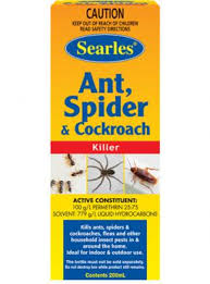 For cacti, use a pot just large enough to fit the plant. Searles Ant Spider Cockroach Killer 200ml Searles Gardening