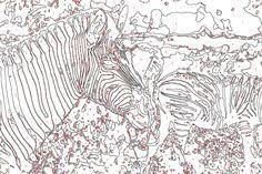 Malen Nach Zahlen Vorlage Zebra Tiere In 2020 Malen Nach Zahlen Vorlagen Malen Nach Zahlen Zahlen Vorlagen