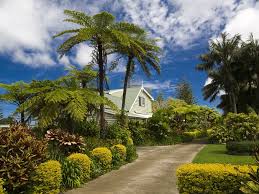 Have been growing christmas trees since 1994, and sales started in year 2000. Island Archive Properties On Norfolk Island Australia Australia New Zealand
