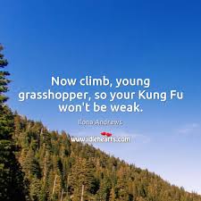 Now Climb Young Grasshopper So Your Kung Fu Won T Be Weak Idlehearts