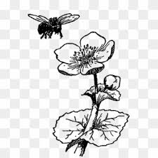 We did not find results for: Lg Easy Flyer Bee And Flower Underpants Hd Png Download 600x600 920684 Pngfind