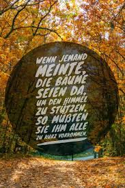 Outdoor Blog Wandern Best Mountain Artists Trekking Wanderungen Die 50 Besten Zitate Zu Den Themen Wald Und Baume Waldzitate