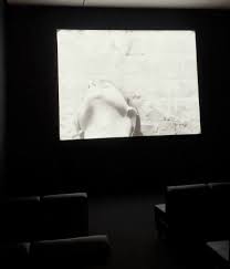 We did not find results for: My New Plaid Pants Pics Of The Day