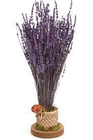 Yapay çiçek modelleri ile evinizi renklendirin. Mor Yapay Cicek Modelleri Fiyatlari Trendyol