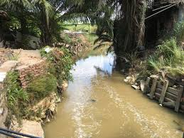 Menteri tenaga, sains, teknologi, inovasi, alam sekitar dan perubahan iklim (mestecc), yeo bee yin berkata, ia berpandukan ukuran kualiti udara melalui. Minister Sungai Kim Kim Not Polluted With Toxic Waste The Star