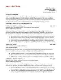 professional summary for resume