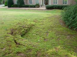 After claim is approved, get necessary repairs as soon as possible. Sinkholes In The Landscape Walter Reeves The Georgia Gardener