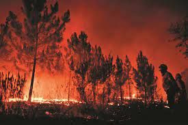 É no fogo de urgeiro, no fundão, que se. Fogos Estradas De Portugal Atualiza Informacao Ha 15 Estradas Cortadas