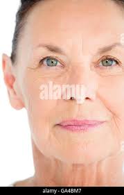 Isolated close up of a beautiful mature single barn swallow bird sitting in  the rain- Armenia Stock Photo