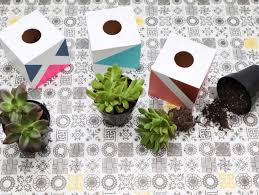 Diy Succulent Seating Chart Fun365