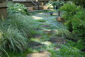We did not find results for: Low Maintenance Ground Covers To Go With Your Pavers