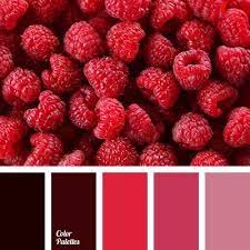 Pin By Marli Borges On Color Inspiration Red Colour Palette Color Palette Color Balance