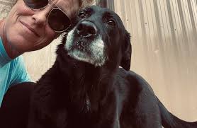 Cindy's "Your Pet's Second Home"