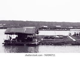 Check spelling or type a new query. Pontian Johor Malaysia Wooden Floating Platform Stock Photo Edit Now 769390711