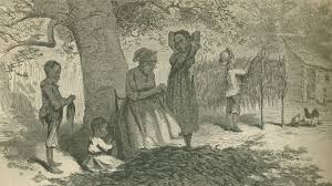 Reframing the Rogan House