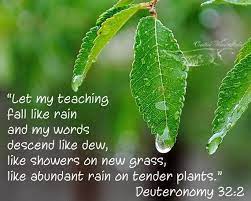 Bible Quotes About Rain Quotesgram Rain Quotes Deuteronomy 32 Bible Text