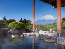 Hotel Green Plaza Hakone Selected Onsen Ryokan Best In Japan Private Hot Spring Hotel Open Air Bath Luxury Stay