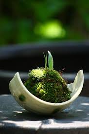 So Konnen Sie Einen Mini Zen Garten Kreieren Zen Garten Mini Zen Garten Miniaturgarten