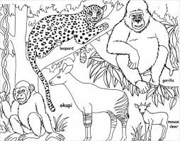 What jungle animals do you see? Jungle Coloring Pages Best Coloring Pages For Kids Jungle Coloring Pages Animal Templates Giraffe Coloring Pages