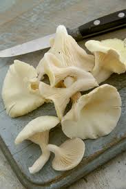 We did not find results for: Guide To Oyster Mushrooms 20 Must Try Recipes My Pure Plants