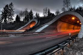 10 best carbon monoxide detectors of february 2021. Installation Guidelines Faq For Carbon Monoxide Co Gas Detectors