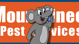 5183 augusta rd beech island, sc 29842. Mountaineer Pest Control Stop My Bugs Pest Control Service Csra