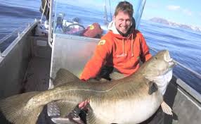 Six years ago, German angler Michael Eisele set the All-Tackle ...