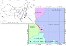Frontiers | A 6-year study on the mortality dynamics of sprouts germinated  on Schima superba after a severe ice storm in southern China