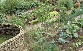 Pin Auf Garten