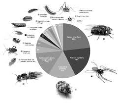 We understand the threat of cockroaches, ants, termites, bed bugs. Https Www Cabi Org Isc Fulltextpdf 2018 20183118404 Pdf