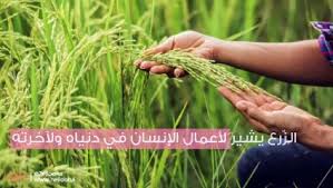 وربما دل القط على الجفاء للزوجة والأولاد والخصام والسرقة (سنور) هو في المنام خادم وقيل لص من أهل البيت وقيل الأنثى منه امرأة سوء خداعة وينسب إلى من يطوف بالمرء ويحرسه فهو يضره. Ø§Ù„Ø²Ø±Ø¹ ÙÙŠ Ø§Ù„Ù…Ù†Ø§Ù… ÙˆØªÙØ³ÙŠØ± Ø­Ù„Ù… Ø§Ù„Ø²Ø±Ø§Ø¹Ø© Ø¨Ø§Ù„ØªÙØµÙŠÙ„