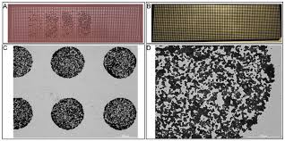 Ijms Free Full Text Affinity Bead Assisted Mass Spectrometry Affi Bams A Multiplexed Microarray Platform For Targeted Proteomics Html