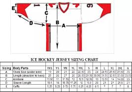 100 Polyester Birdeye Plain Ice Hockey Practrice Jersey Long Sleeves Birdeye Plain Ice Hockey Practice Jersey View 100 Polyester Birdeye Plain Ice