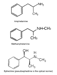 Methamphetamine 2006 08 21 Ahc Media Continuing Medical