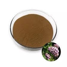 Valerian Extract Manufacturers ...