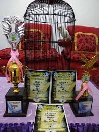 Saya kalau pas main ke pasar burung di kota. Setingan Ampuh Mengatasi Lovebird Tidak Mau Bunyi Saat Lomba Binatang Peliharaan
