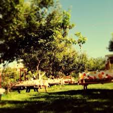 Beytepe Gizli Bahce Giizlibahce Twitter