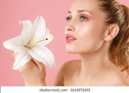 219+ Thousand Demi Rose Royalty-Free Images, Stock Photos & Pictures