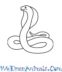 How To Draw A Cobra