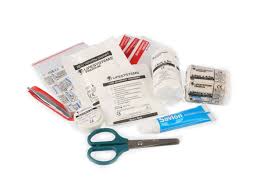 Image result for First Aid Travel Kit