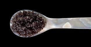 Caviar airpods pro caviar leather airpods passion $1 340. Datei Caviar Spoon Black Jpg Wikipedia