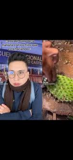 créditos a Ramiro Ramírez XDD #viralvideo #Ramiro #asmrsounds #derecha  #arriba #quieres #agua