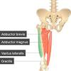 Vector illustration informative medical scheme. 1