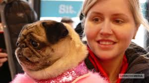 jack jackson Archives