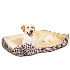 Maybe you would like to learn more about one of these? 7 Best Heated Dog Beds 2021 Reviews Buying Guide Safe Options