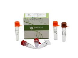 Image result for Respiratory Panel